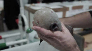 Let’s stop going in the ocean if this is what we’re going to drag up